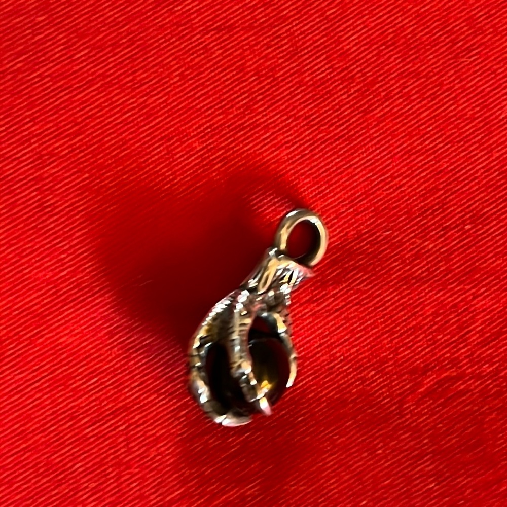 Dragon claw pendant!